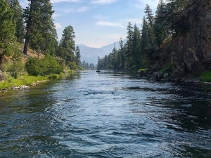 On our watch: Salmon extinction on the Middle Fork Salmon River in the heart of Idaho