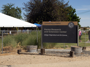 University of Idaho research center celebrates 100 years of agricultural development