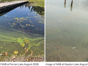 Health officials warn of harmful bacteria in North Idaho’s Fernan Lake, north end of Hayden Lake
