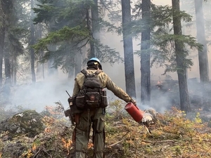 Montana, Idaho, Wyoming, and Washington show key strategies for effective wildfire funding