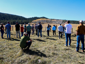 Stream, riparian restoration could protect Idaho’s Kackley Ranch Preserve for generations to come
