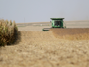 Outsider farm owners are an issue in the governor’s race. Here’s what experts say.