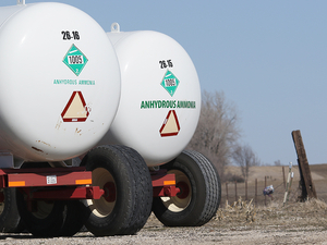 Corn growers urge DOJ investigation into ‘collusive’ fertilizer industry practices