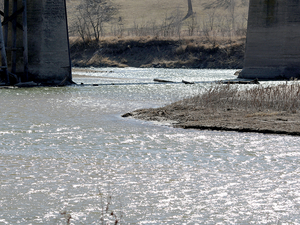 Central Iowa Water Works asks for voluntary reduction in outdoor watering