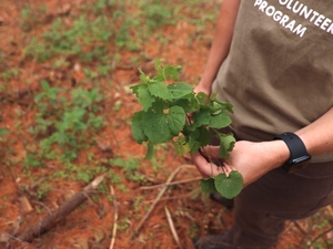 Leave the firewood, clean boots and other tips to reduce spread of invasive species