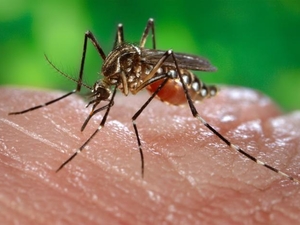 First 2026 case of West Nile virus reported in Iowa