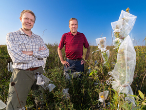 Iowa State University research links pollinators and prairie plants in creating biodiversity