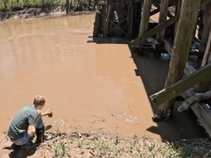 Here’s why Iowans say they volunteer to test lakes, rivers for nitrates
