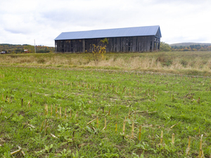 Iowa ag department launches Des Moines watershed program; cover crop incentives
