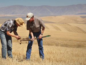 Senate farm bill draft focuses on farm economy, keeps ‘Big Beautiful’ SNAP cuts