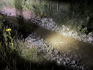 Diluted pesticide spill in Lee County creek leads to fish kill