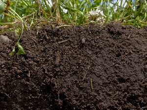Nitrogen soil sampling project expands to Des Moines, Cedar Rapids watersheds