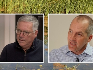 Meet Iowa’s secretary of agriculture candidates