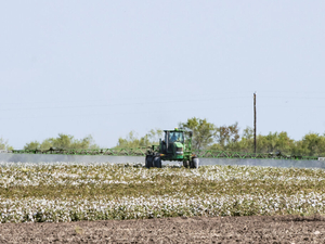 States, FTC secure settlement in suit against Corteva pesticide loyalty programs 