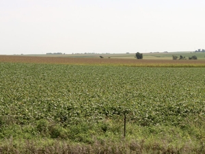 Start of September was ‘one of the warmest’ on record as harvest nears