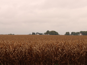 Iowa farmers behind on harvest as wet September comes to close