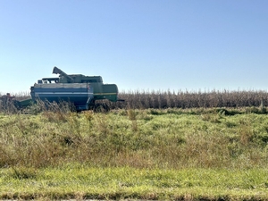 With drier weather, farmers make some progress on harvest