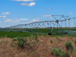 Kansas farmers suffer from tariffs and closing of Strait of Hormuz, ag experts say