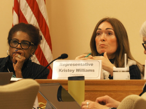 Kansas efficiency committee targets DEI curricula in college classrooms