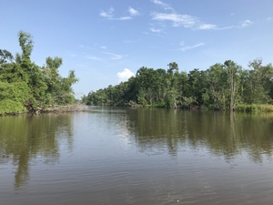 Louisiana adds and updates its list of waterways with high mercury levels in fish