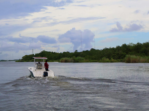 Deadly bacteria lurks in Louisiana’s coastal waters, health officials warn