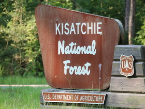 Sen. Bill Cassidy faces backlash with bill to break up Louisiana’s only national forest