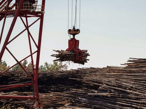 Louisiana lawmakers approve incentives for controversial wood pellet industry