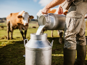 Raw milk sickens 11 people in Louisiana; health officials investigate