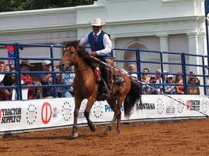 Louisiana adds more public money to host rodeos, college sports events