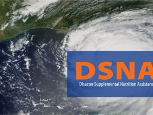 Food assistance available for areas Tropical Storm Arthur hit