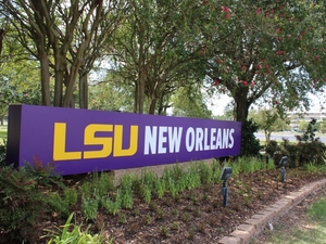 LSU New Orleans chancellor search committee kicks off its work 