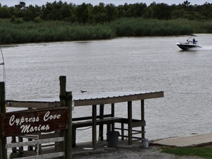 Marsh-building river diversions have local support at the Bird’s Foot Delta, but money still needed