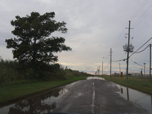 Alabama coastal restoration project could inform Louisiana work on lower insurance rates