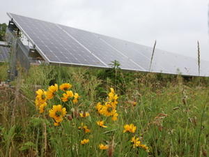 Investing in renewables is about more than just protecting the climate
