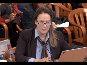 Credentials in question: How a meditation instructor became a Michigan House ‘expert’ witness on AI