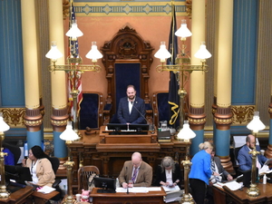 Michigan Senate passes new versions of nine bills held up in House, vetoed by Whitmer