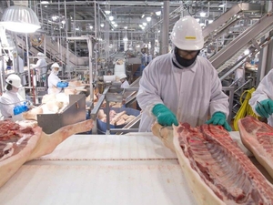 Major meatpackers have taken in more than half a billion in tax subsidies since 2006