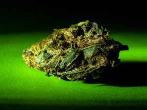 Minnesota recreational cannabis sales hit $150M one year in