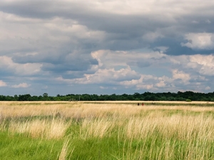 Partisan conflict in Minnesota House threatens to hold up $200 million in conservation funds