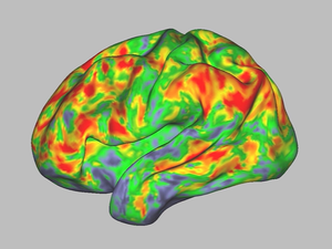 Minnesota is on the verge of expanding access to psychedelics therapy