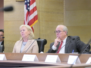 Minnesota Truth Council concludes public testimony on Operation Metro Surge
