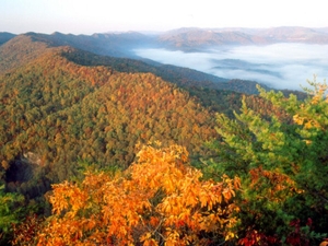 Don’t condescend to red state neighbors