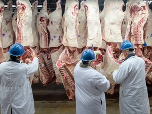 Trump’s beef import plan: The trade off facing Missouri farmers and consumers