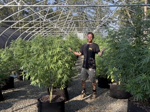 Missouri cannabis regulators prepare final lottery with new rules targeting predatory deals