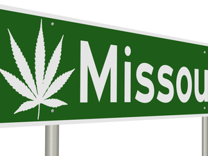 Missouri tightened the rules. The wait still leaves microbusiness owners vulnerable