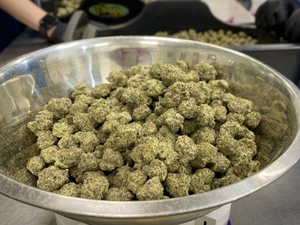 State says Missouri’s marijuana market is competitive. But who owns it?
