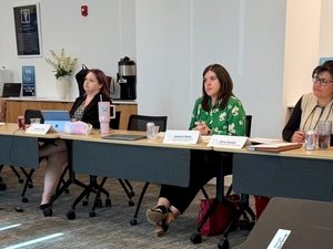 Missouri task force drafts new child safety rules for courts, caseworkers