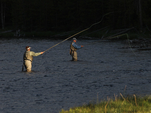 Yellowstone park, Montana continue easing fishing restrictions