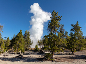 Yellowstone National Park superintendent departs America’s first national park