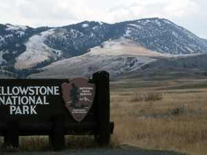 Yellowstone National Park visitation on record pace through May